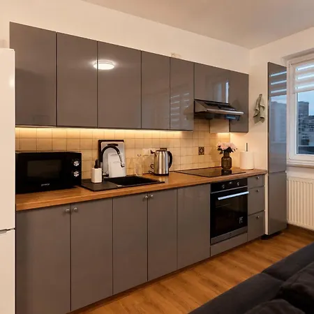 Skyline With Free Swimming Pool, Sauna, Gym Varsovia